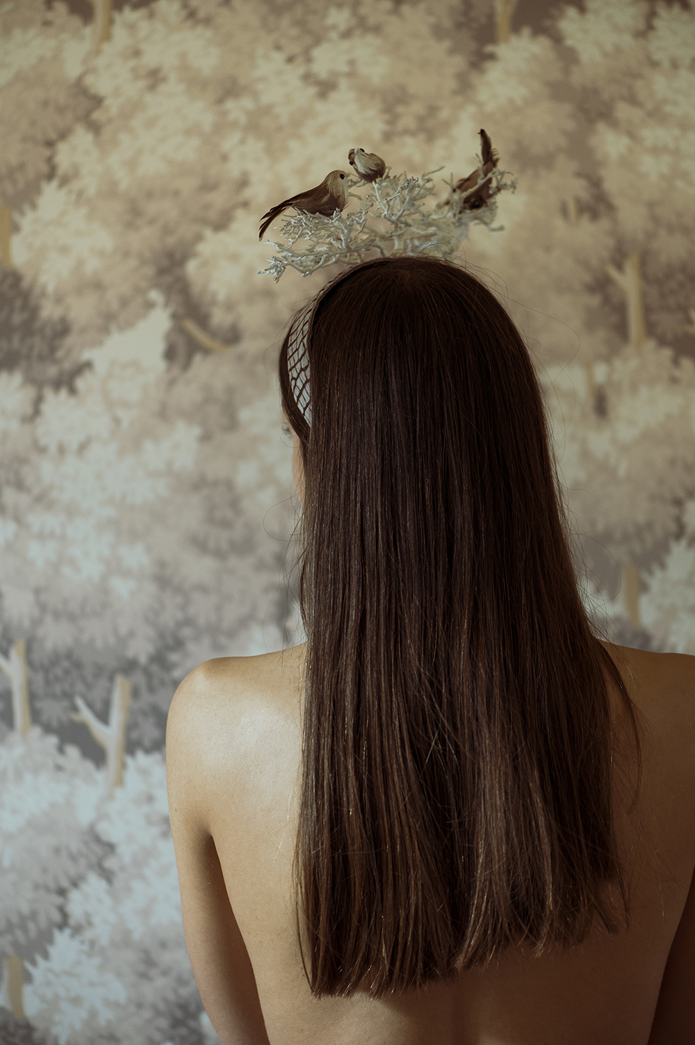 Agena has partnered with Darlingmind Studio to compose its new digital ...