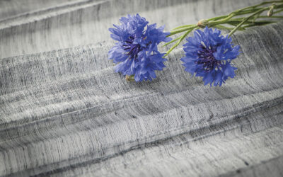 New Omexco collection  “ode”, for the love of linen